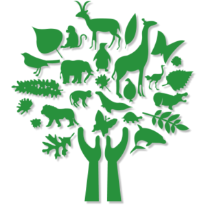 Anglican Environmental Network